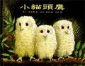 小貓頭鷹