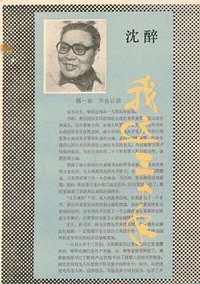 我这三十年 (湖南人民出版社)