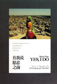 在我说愿意之前 (2011)
