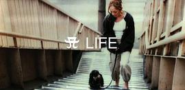 A LIFE