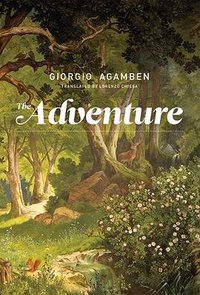 The Adventure (MIT Press 2018)