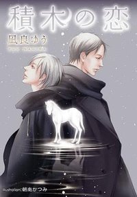 積木の恋 (プランタン出版 2011)