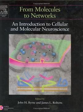From Molecules to Networks