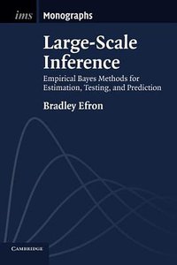Large-Scale Inference (劍橋大學出版社 2012)