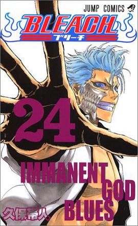 BLEACH―ブリーチ― 24