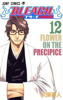 BLEACH―ブリーチ― 12