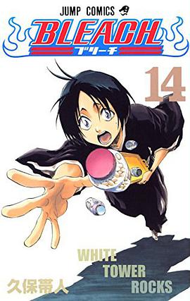 BLEACH―ブリーチ― 14