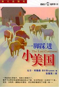 一脚踩进小美国 (海天出版社 2002)
