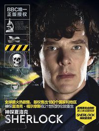神探夏洛克 (江苏文艺出版社 2013)
