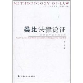 类比法律论证
