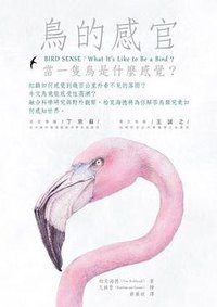 鳥的感官 (貓頭鷹 2014)