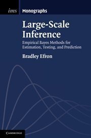 Large-Scale Inference (劍橋大學出版社 2010)