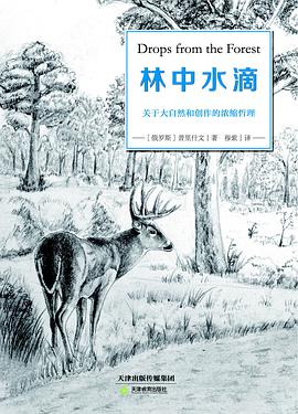 林中水滴