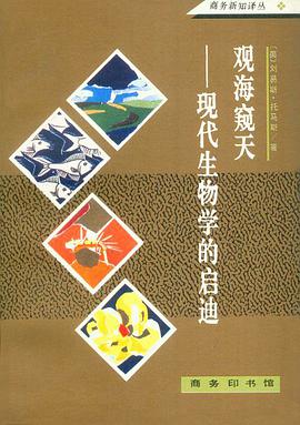 观海窥天