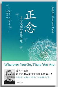 正念 (海南出版社 2009)