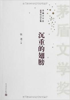 沉重的翅膀