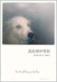 我在雨中等你 (南海出版社 2011)