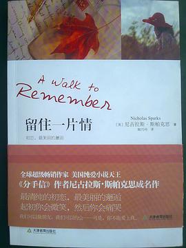 A Walk To Remember - Large Print