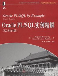 Oracle PL/SQL实例精解 (机械工业出版社 2009)