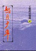怒目少年 (王鼎鈞 1995)