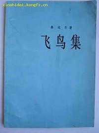 飞鸟集 (上海译文出版社 1981)