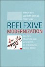 Reflexive Modernization