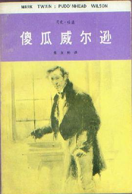 傻瓜威尔逊