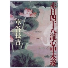 赤目四十八瀧心中未遂