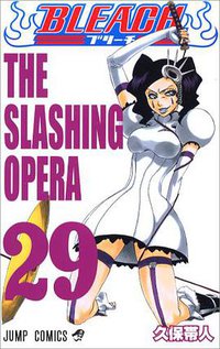 BLEACH―ブリーチ― 29 (集英社 2007)