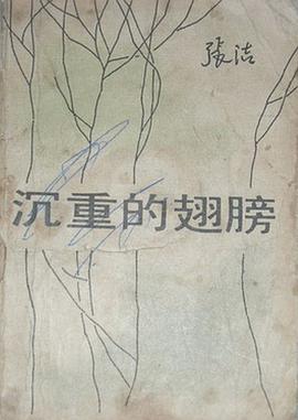 沉重的翅膀