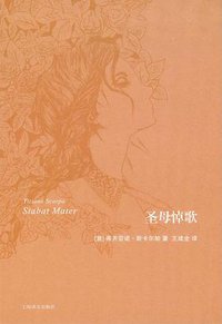 圣母悼歌 (上海译文出版社 2012)