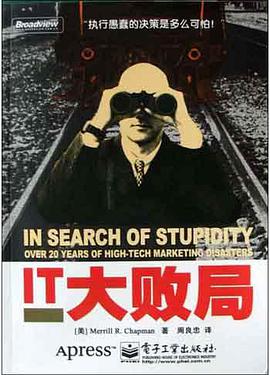 IT大败局