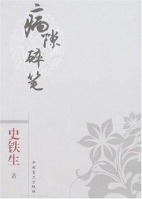 病隙碎笔 (中国盲文出版社 2008)