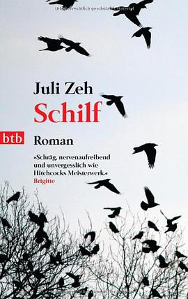 Schilf