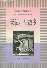 天使，望故乡 (安徽文艺出版社 1996)