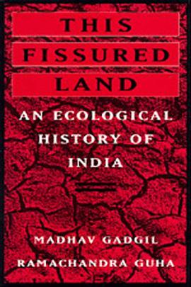 This Fissured Land