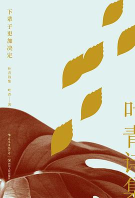下辈子更加决定:叶青诗集