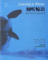倾听鲸语
