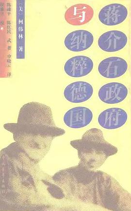 蒋介石政府与纳粹德国