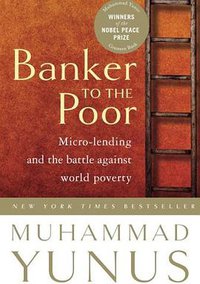 Banker To The Poor (PublicAffairs 2003)