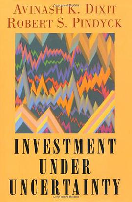 Investment under Uncertainty