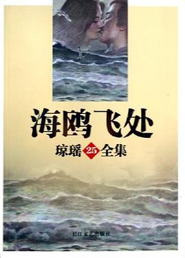 海鸥飞处