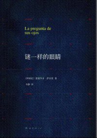 谜一样的眼睛 (南海出版公司 2013)