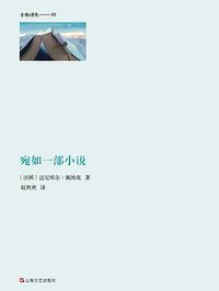 宛如一部小说 (上海文艺出版社 2014)