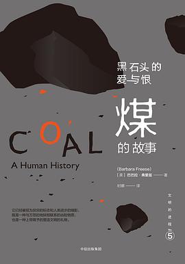黑石头的爱与恨:煤的故事