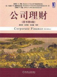 公司理财 (机械工业出版社 2007)