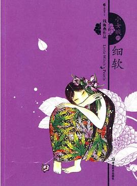 小女贼的细软