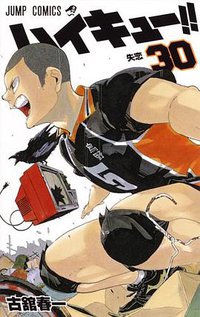 ハイキュー!! 30 (集英社 2018)