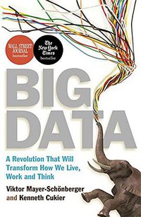 Big Data (John Murray 2013)