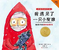 我遇见了一只小灰狼 (上海文艺出版社 2018)